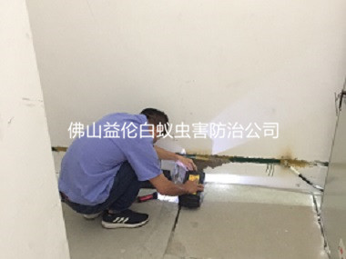 三水房屋勘查防治白蟻工程