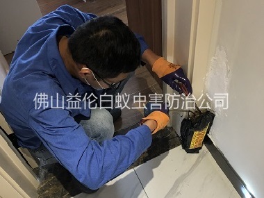 里水住宅白蟻防治工程